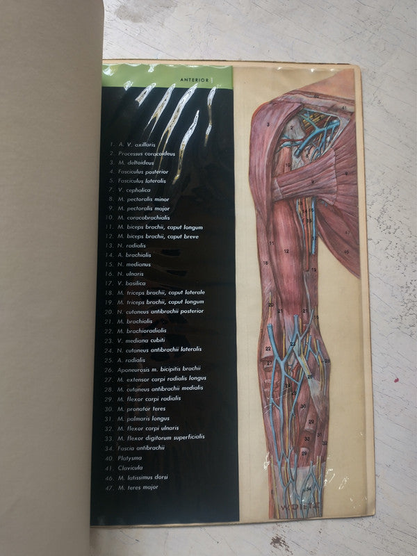 Libro usado en venta: Practica de la reeducacion del pie de Alain Ceccaldi; editorial Toray-Masson impreso en 1971 realizamos envios a todo el mundo.2