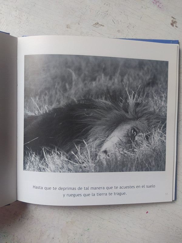 Libro usado en venta: Cartas al hijo de Juan Sklar; editorial Galerna impreso en 2021 realizamos envios a todo el mundo.2