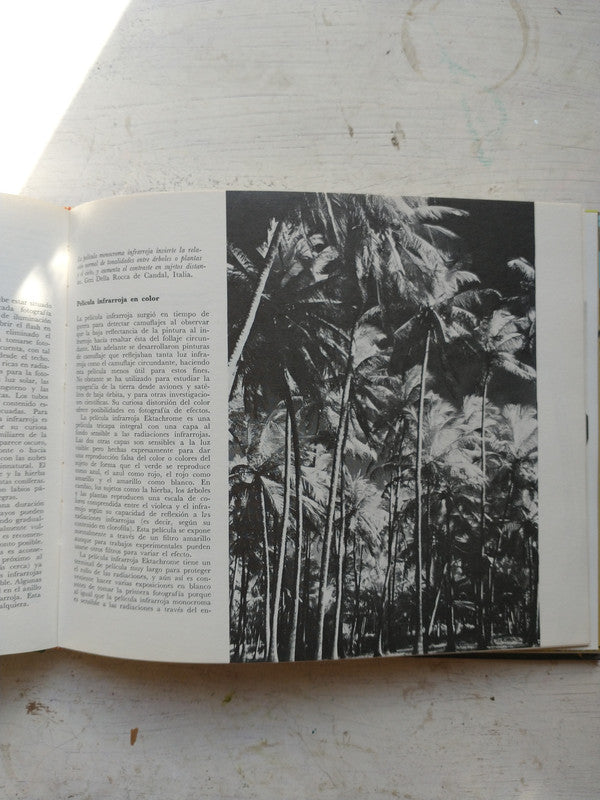 Libro usado en venta: Efectos y experimental en fotografia de Paul Petzold; editorial Omega impreso en 1980 realizamos envios a todo el mundo.3