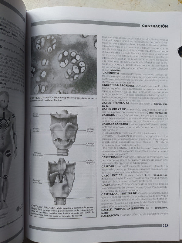 Libro usado en venta: Diccionario de Medicina de Oceano Mosby; editorial Oceano realizamos envios a todo el mundo.2