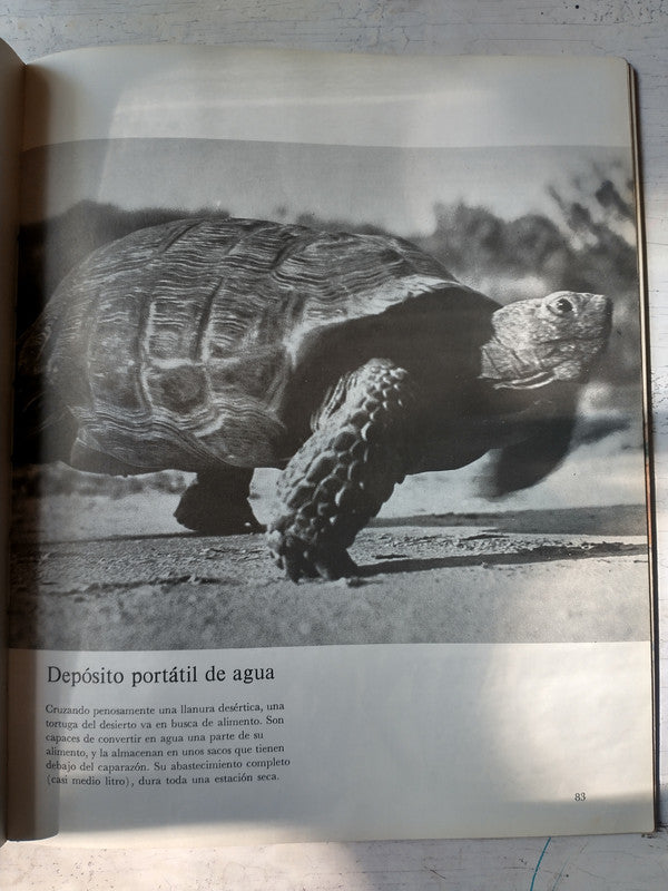 Libro usado en venta: El desierto de A. Starker Leopold; editorial Time-Life impreso en 1968 realizamos envios a todo el mundo.3