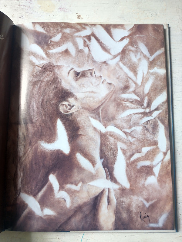 Libro usado en venta: La pintora del amor de Cristina Ruiz; editorial Ediciones del Autor impreso en 2004 realizamos envios a todo el mundo.3