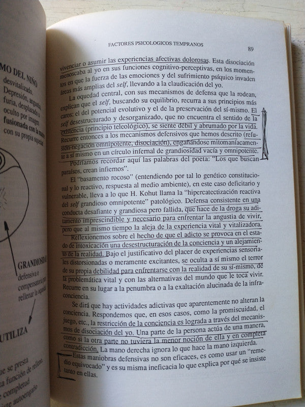 Libro usado en venta: Drogadiccion de Amelia Musacchio De Zan - Alfredo Ortiz Frágola; editorial Paidos impreso en 1996 envios a todo el mundo.2
