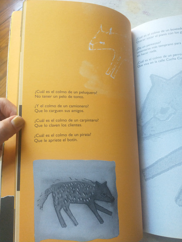 Libro usado en venta: El maravilloso libro de las adivinanzas de Bianca Farfala - Irene Singer; editorial Atlantida impreso en 2003.2