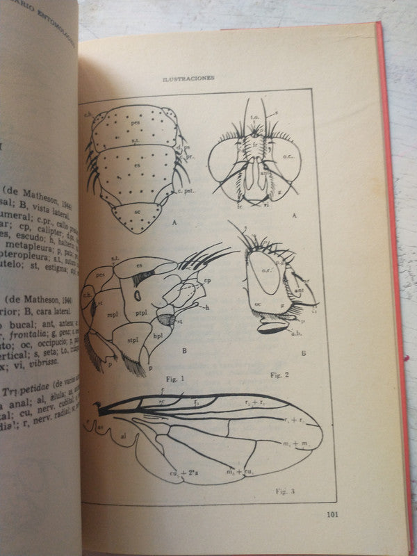 Libro usado en venta: Glosario de terminos entomologicos de Raul H. Quintanilla - Cesar P. Fraga; editorial Eudeba impreso en 1979.2