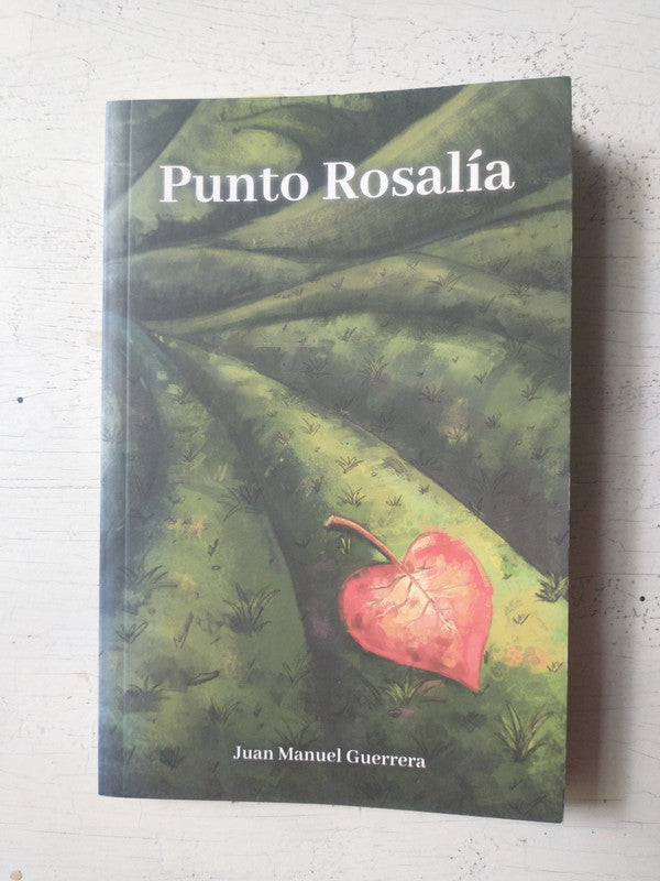 Libro usado en venta: Punto Rosalia de Juan Manuel Guerrera; editorial Ediciones del Autor impreso en 2018 realizamos envios a todo el mundo.1