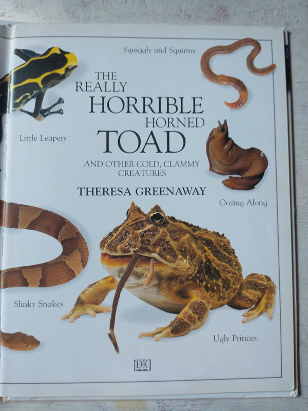 Libro usado en venta: Ostschweiz - Farbfotografien de Herbert Haltmeier; editorial Fotostudio un Alpsteinverlag impreso en 1996 envios a todo el mundo.2