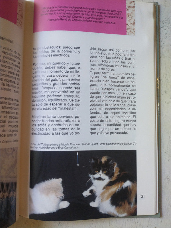 Libro usado en venta: Los amores dificiles de Italo Calvino; editorial Tusquets impreso en 1999 realizamos envios a todo el mundo.2