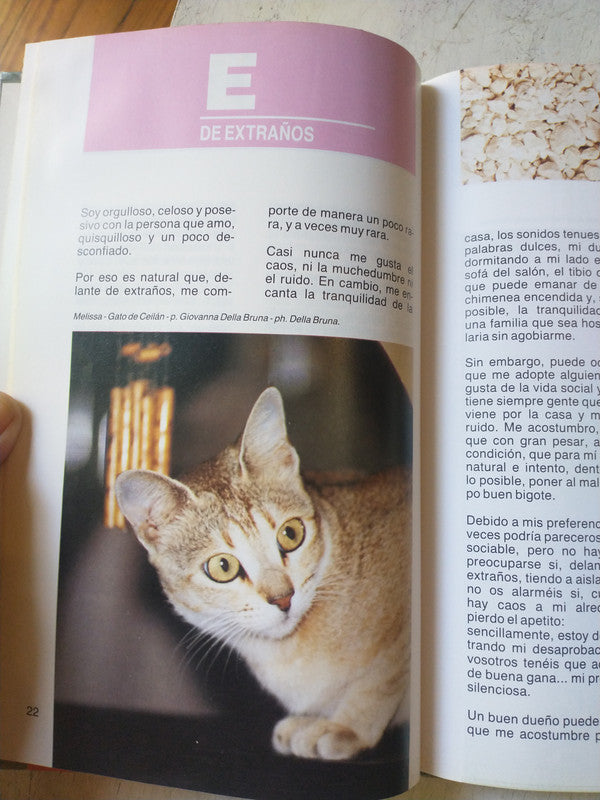 Libro usado en venta: Yo el gato de M. Antonieta Schiavina; editorial Acanthus impreso en 1989 realizamos envios a todo el mundo.2