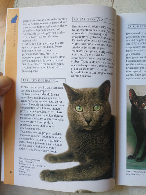 Libro usado en venta: Como tomar decisiones correctas de David A. Shapiro; editorial Norma impreso en 2000 realizamos envios a todo el mundo.2