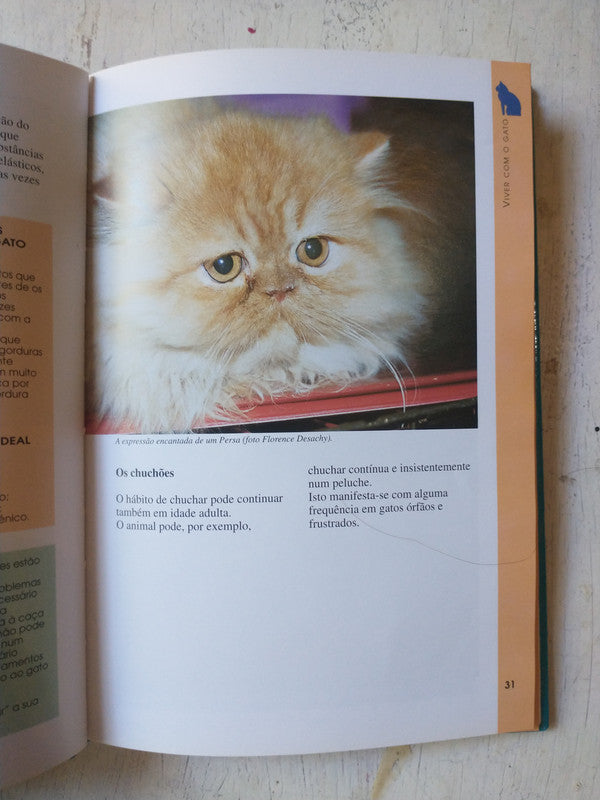 Libro usado en venta: Viver com o Gato, O que precisa saber de Michele Ferme-Fradin; editorial De Vecchi impreso en 2003 envios a todo el mundo.3