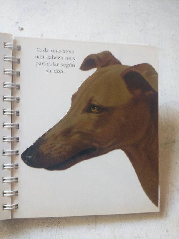 Libro usado en venta: Amores que matan de Agustina Gonzalez Carman; editorial La Estacion impreso en 2018 realizamos envios a todo el mundo.2