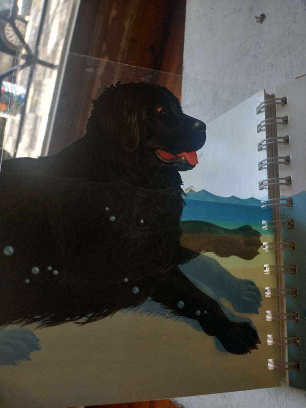 Libro usado en venta: El perro de Pascal de Bourgoing; editorial Oceano impreso en 2010 realizamos envios a todo el mundo.2