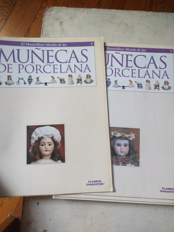 Libro usado en venta: El maravilloso mundo de las Mu?ecas de porcelana; editorial Planeta DeAgostini impreso en 1999 realizamos envios a todo el mundo.3