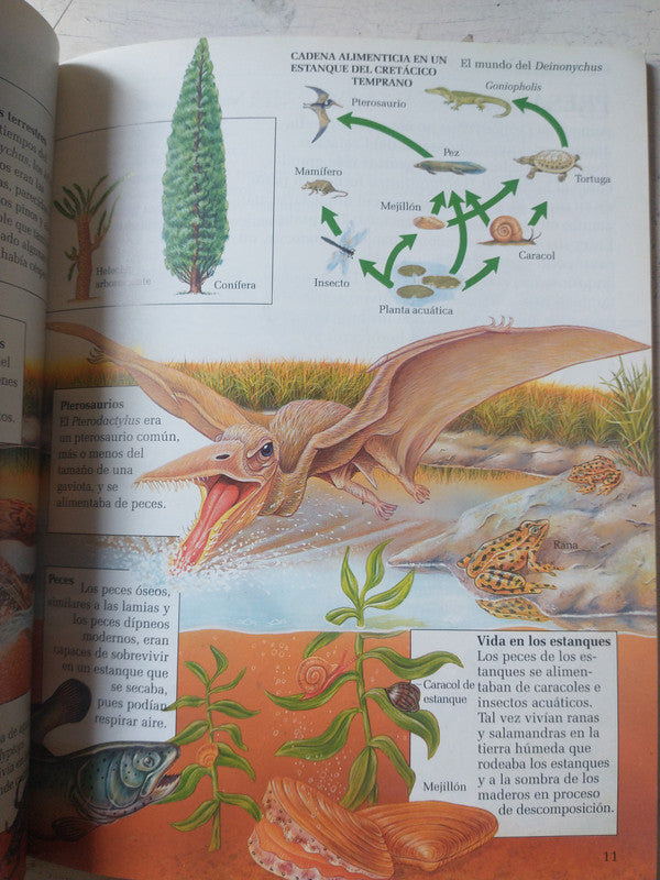 Libro usado en venta: Dylan - Septiembre 2006 - N? 30 de Revista La Mano; impreso en 2006 realizamos envios a todo el mundo.2