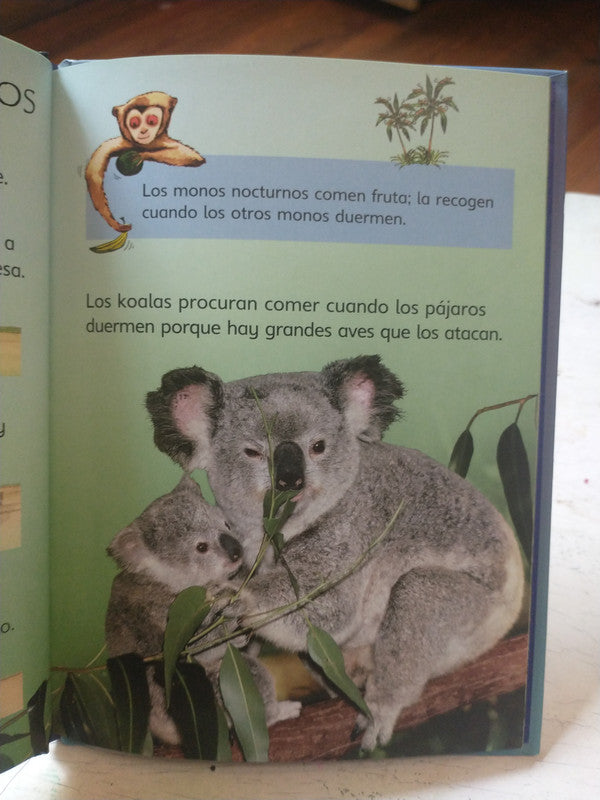Libro usado en venta: Orugas y mariposas de Stephanie Turbull; editorial Usborne impreso en 2007 realizamos envios a todo el mundo.2