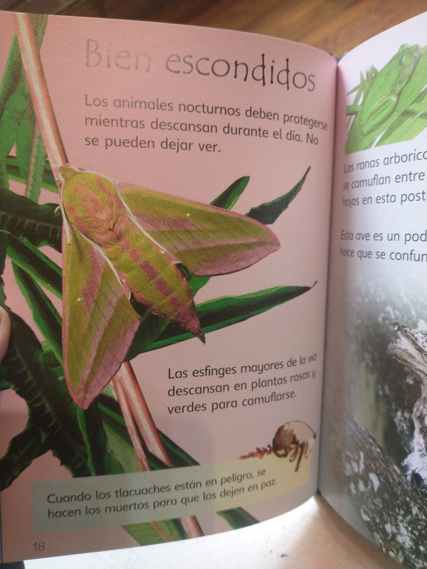 Libro usado en venta: Animales nocturnos de Susan Meredith; editorial Usborne impreso en 2008 realizamos envios a todo el mundo.3