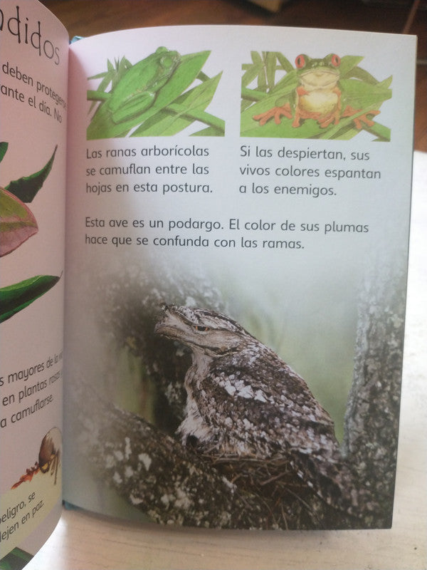 Libro usado en venta: Animales nocturnos de Susan Meredith; editorial Usborne impreso en 2008 realizamos envios a todo el mundo.4