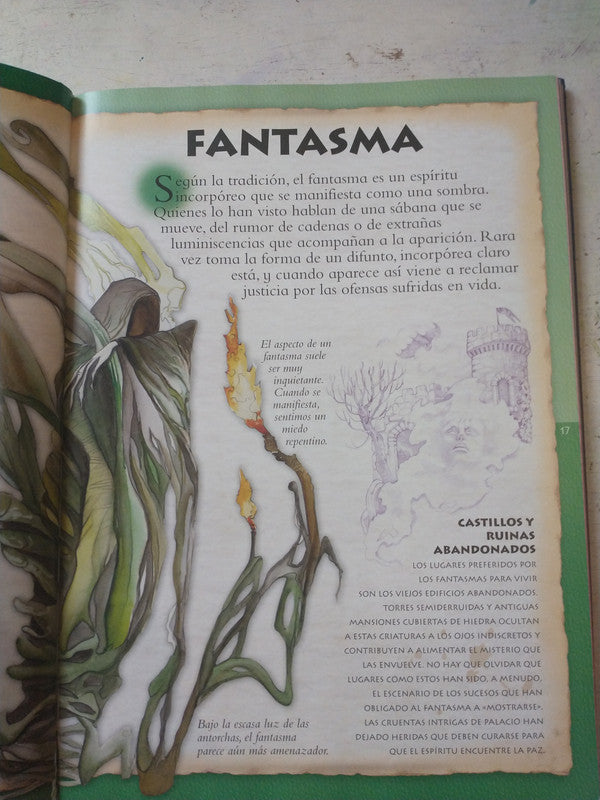Libro usado en venta: Robin Hood; editorial Sigmar impreso en 1968 realizamos envios a todo el mundo.2
