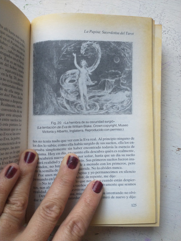 Libro usado en venta: Jung y el Tarot de Sallie Nichols; editorial Troquel impreso en 1991 realizamos envios a todo el mundo.4