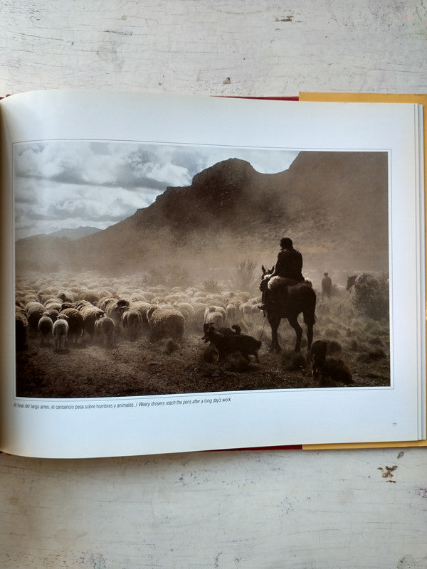 Libro usado en venta: Santa Cruz - Patagonia Argentina; editorial Grupo Abierto Comunicaciones impreso en 1999 realizamos envios a todo el mundo.3