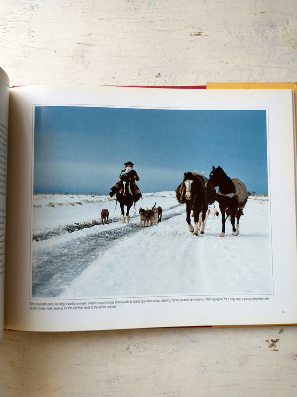 Libro usado en venta: Santa Cruz - Patagonia Argentina; editorial Grupo Abierto Comunicaciones impreso en 1999 realizamos envios a todo el mundo.4