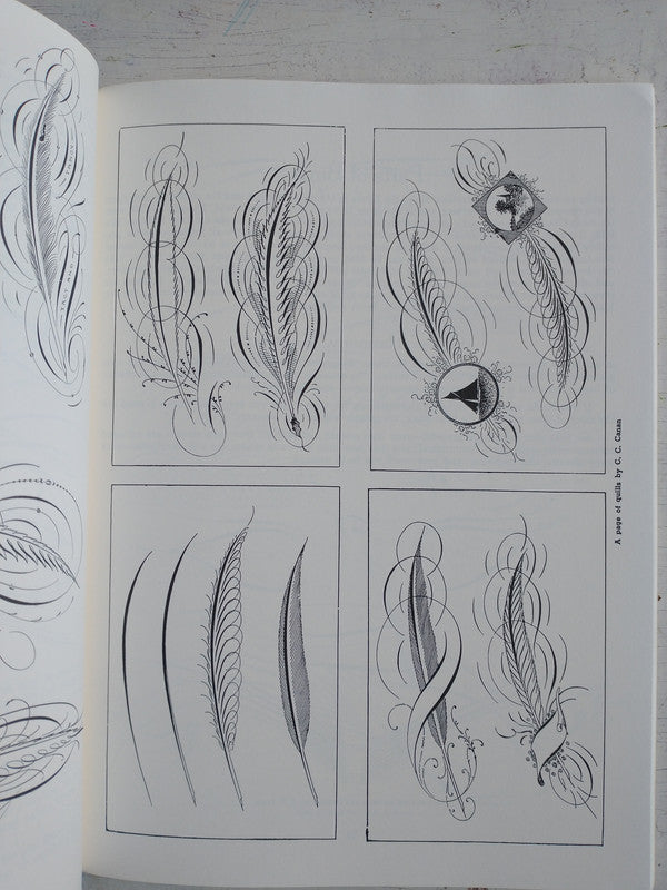 Libro usado en venta: Ornate pictorial calligraphy de E. A. Lupfer; editorial Dover Publications impreso en 1982 realizamos envios a todo el mundo.4