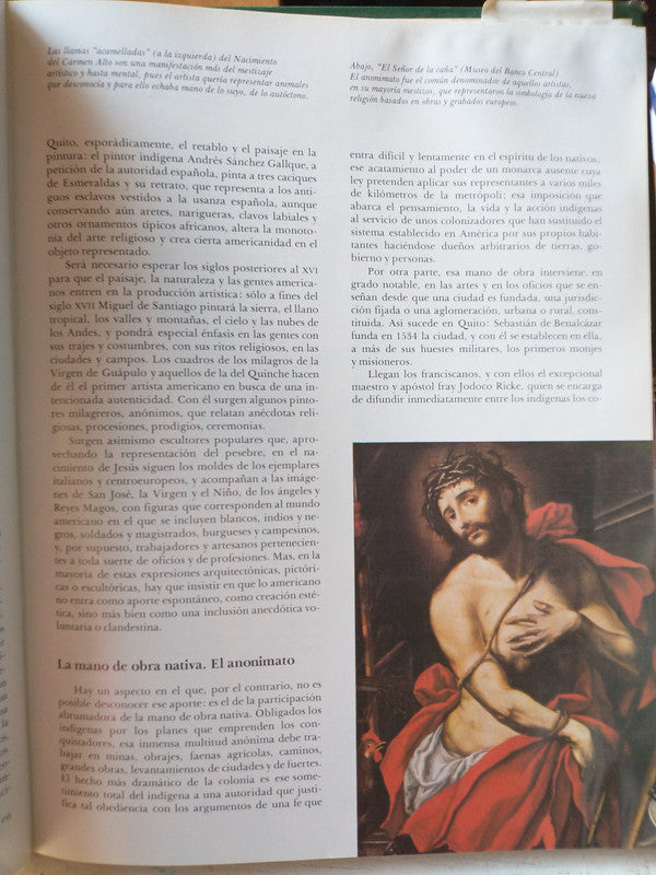 Libro usado en venta: Los insectos de Miranda Macquitty; editorial Puerto de palos impreso en 1998 realizamos envios a todo el mundo.2