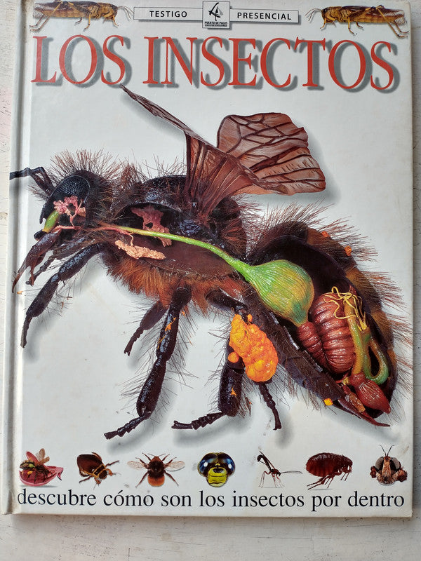 Libro usado en venta: Los insectos de Miranda Macquitty; editorial Puerto de palos impreso en 1998 realizamos envios a todo el mundo.1