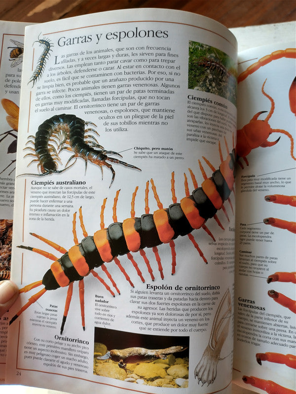 Libro usado en venta: Animales venenosos de Teresa Greenway; editorial Puerto de palos impreso en 1998 realizamos envios a todo el mundo.3