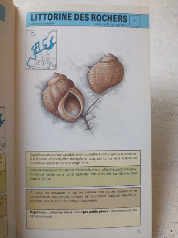 Libro usado en venta: Paula de Isabel Allende; editorial Sudamericana impreso en 1994 realizamos envios a todo el mundo.2
