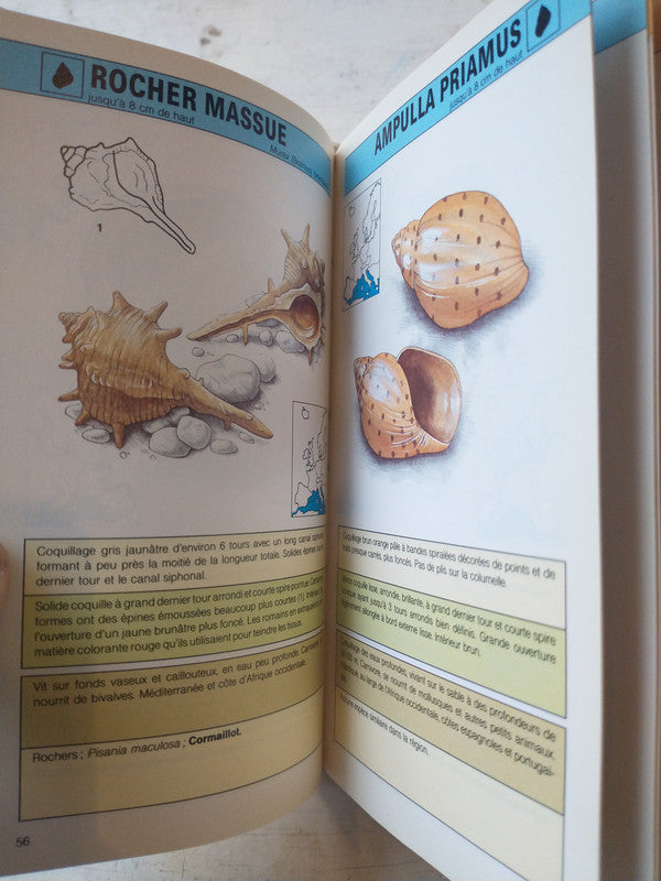 Libro usado en venta: Un guide pratique pour identifier facilment 180 coquillages de Coquillages; editorial Grund impreso en 1991.3