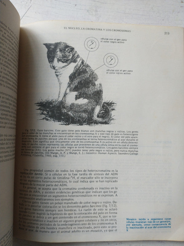 Libro usado en venta: Semiologia y orientacion diagnostica de las enfermedades cardiovasculares de Caino - Sanchez; Panamericana impreso en 19911.2