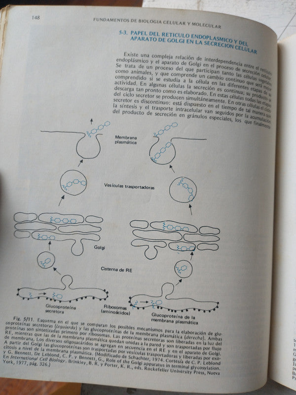 Libro usado en venta: Fundamentos de Biologia celular y Molecular; editorial El Ateneo impreso en 1988 realizamos envios a todo el mundo.2