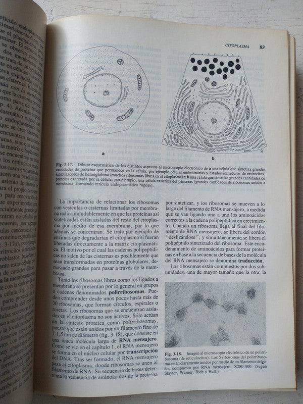 Libro usado en venta: Histologia de Finn Geneser; editorial Panamericana impreso en 1988 realizamos envios a todo el mundo.3