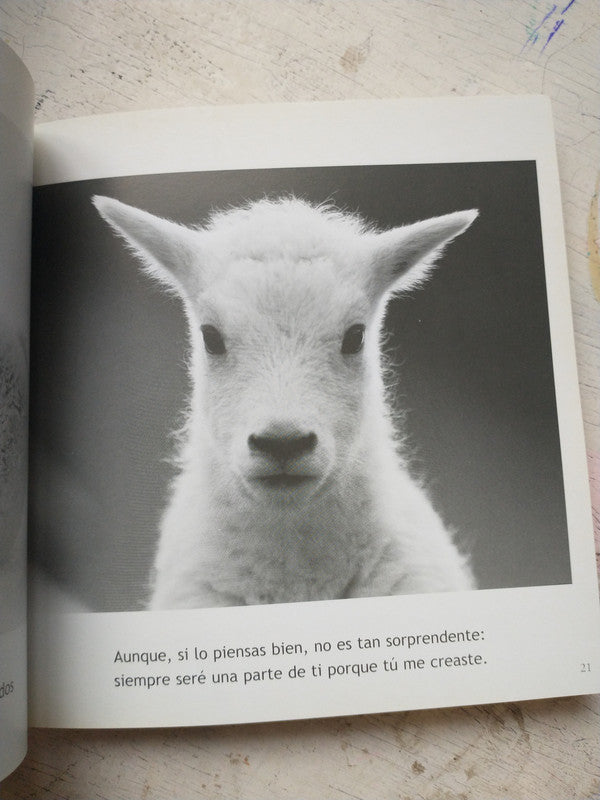 Libro usado en venta: Querida Mama - Gracias por todo de Bradley Trevor Greive; editorial V & R impreso en 2007 realizamos envios a todo el mundo.4