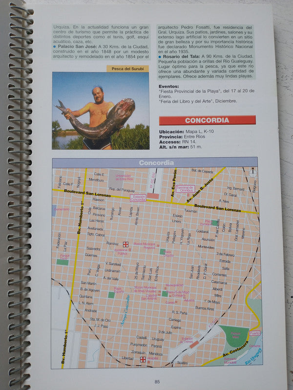 Libro usado en venta: Guia de Turismo y hoteles en la Argentina; editorial Automapa impreso en 2000 realizamos envios a todo el mundo.4