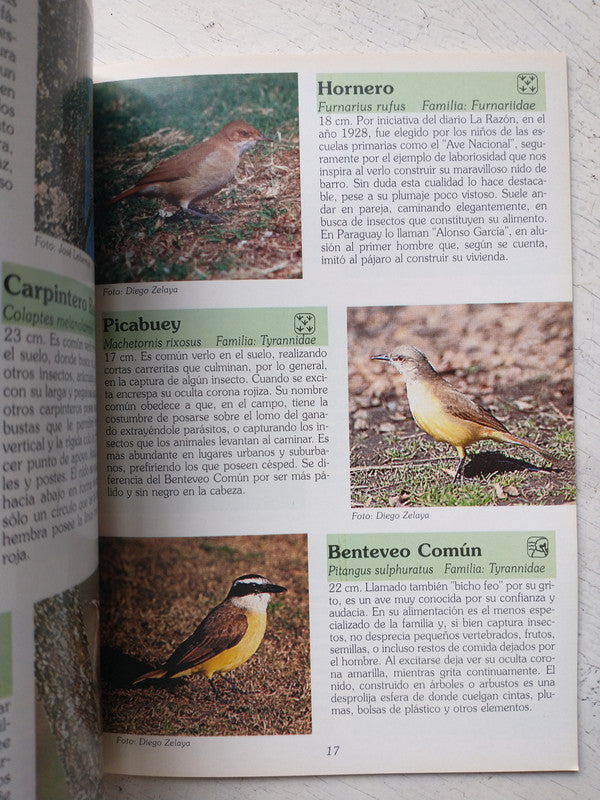 Libro usado en venta: Observando aves en los bosques y lagos de Palermo de Diego G. Zelaya - Juan H. Perez; editorial Athene impreso en 1998.3