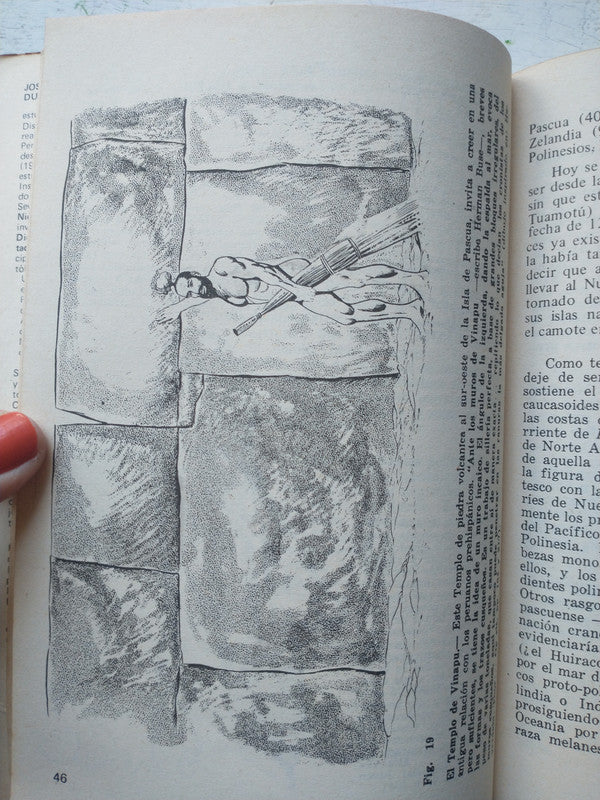 Libro usado en venta: Peru preincaico de Jose A. del Busto Duthurburu; editorial Librería Stadium impreso en 1986 realizamos envios a todo el mundo.2