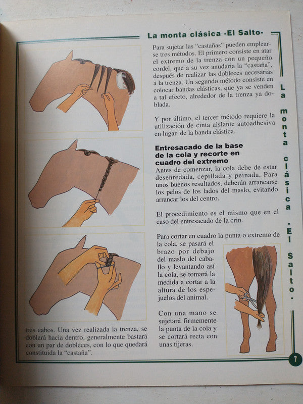 Libro usado en venta: Las razas de tiro de Pilar Massaguer; editorial El caballo impreso en 1995 realizamos envios a todo el mundo.2