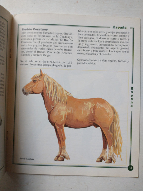 Libro usado en venta: Las mantas del caballo de Pilar Massaguer; editorial El caballo impreso en 1995 realizamos envios a todo el mundo.2