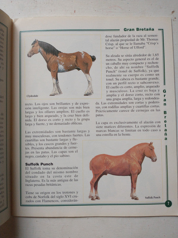 Libro usado en venta: Las razas de tiro de Pilar Massaguer; editorial El caballo impreso en 1995 realizamos envios a todo el mundo.3