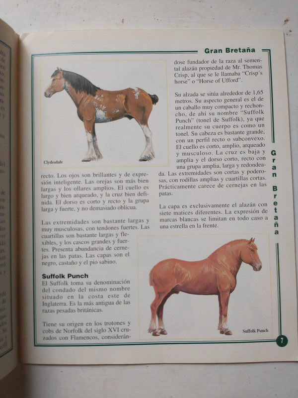 Libro usado en venta: Las razas de tiro de Pilar Massaguer; editorial El caballo impreso en 1995 realizamos envios a todo el mundo.4