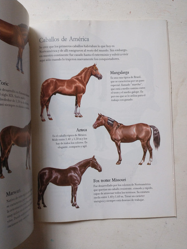 Libro usado en venta: Para que sepan de mi de Laura Devetach; editorial Ediciones de la Flor impreso en 1988 realizamos envios a todo el mundo.2