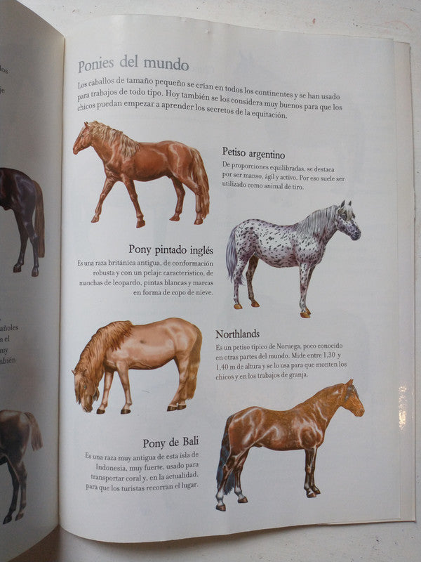 Libro usado en venta: Caballos de America, Europa y Asia; editorial Guadal impreso en 2007 realizamos envios a todo el mundo.3