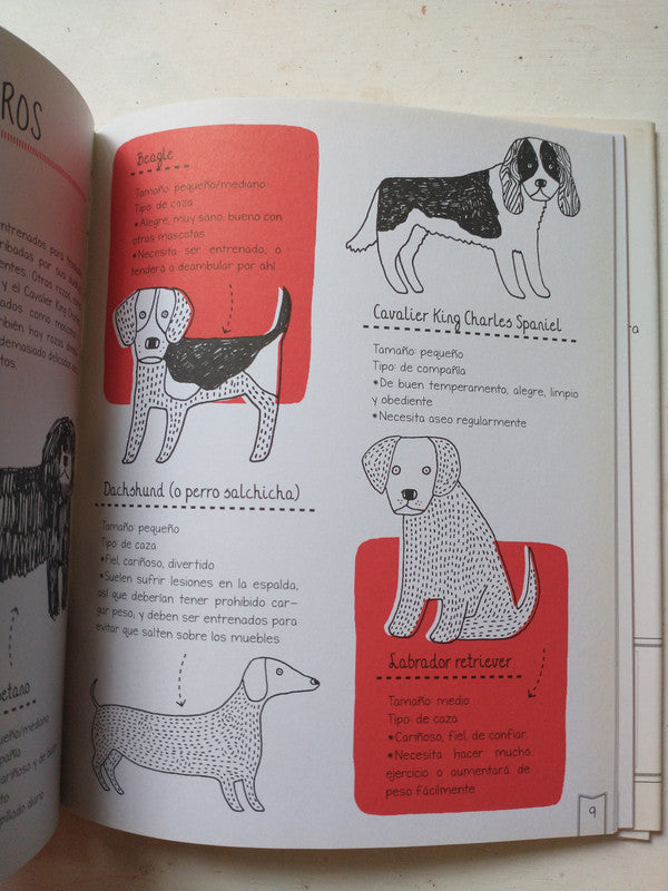 Libro usado en venta: Como cuidar a tu perrito de Helen Piers; editorial V & R impreso en 2018 realizamos envios a todo el mundo.3