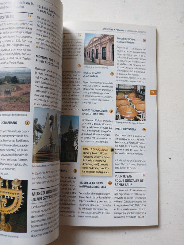 Libro usado en venta: Palabras cruzadas - Del dolor a la verdad de Gabriel Rolon; editorial Planeta impreso en 2009 realizamos envios a todo el mundo.2