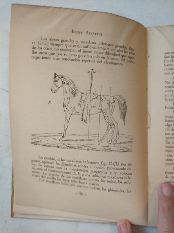 Libro usado en venta: Entrenamiento del caballo de equitacion de Ernst Altstadt; editorial Albatros impreso en 1956 realizamos envios a todo el mundo.2