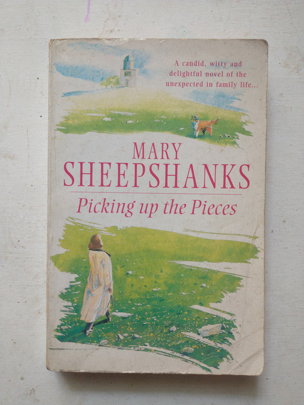 Libro usado en venta: Picking up the Pieces de Mary Sheepshanks; editorial Arrow impreso en 1997 realizamos envios a todo el mundo.1