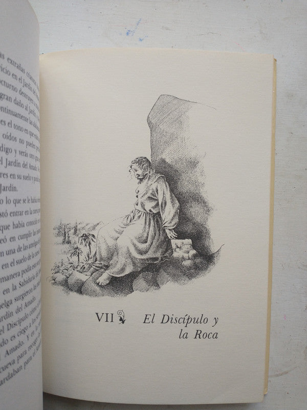 Libro usado en venta: El castillo de Franz Kafka; editorial Alianza impreso en 1982 realizamos envios a todo el mundo.2